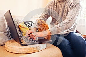 Working online from home with pet using computer. Man typing on laptop with ginger cat looking at screen. Communication