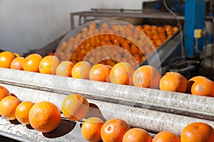 The working of orange fruits