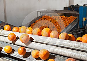 The working of orange fruits