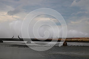 Working pipes of a nuclear and thermal power plant for cooling industrial water