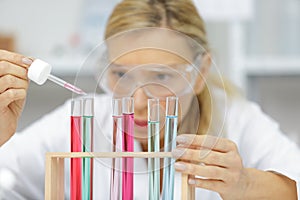 working with pipettes in lab photo