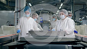 Working process of female specialists in a food factory near conveyor.