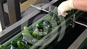 Working process of the production of cucumbers on cannery. Pasteurization of cans. Movement on the conveyor