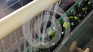 Working process of the production of cucumbers on cannery. Pasteurization of cans. Movement on the conveyor