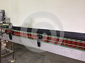 Working process of the production of Preserved red hot chili peppers on cannery. Pasteurization of cans. Movement on the conveyor