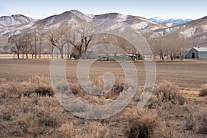 Working ranch in northern Nevada