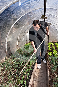 Working in real greenhouse