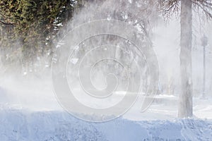 Working snow cannon near the trees