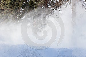 Working snow cannon near the trees