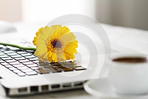 Working space or working place with laptop, flowers and coffee o