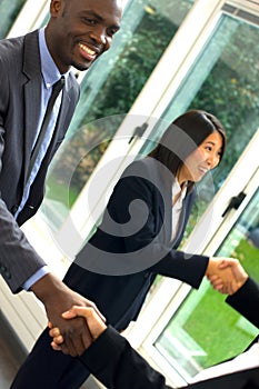 Working team shaking hands