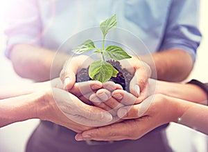 Working together towards a greener tomorrow. A cropped image of a hands holding a plant growing in earth.