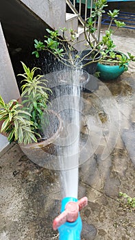 Working watering garden from hose