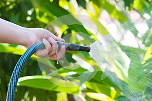 Working watering garden from hose