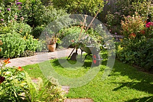 Working with wheelbarrow in the garden photo