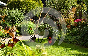 Working with wheelbarrow in the garden photo