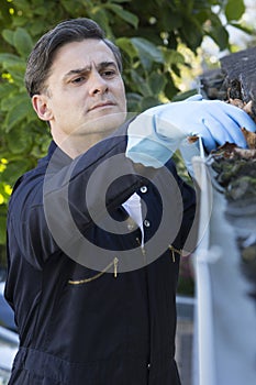 Workman Clearing Leaves From Guttering Of House