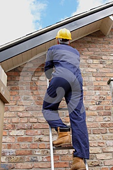 Workman up a ladder