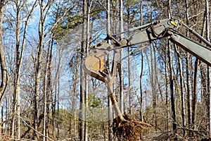 Workmen use an excavator to uproot trees in preparation for construction