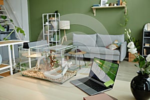 Workplace of freelancer or entrepreneur with laptop and snake in terrarium photo