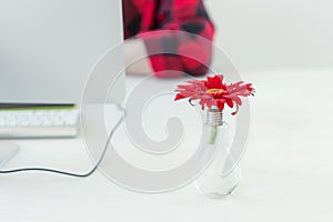 Workplace with gerbera flower and computer. Minimalistic home office with designer on the background