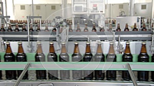 workshop of beer factory, bottles with drink are moving on conveyor belt, bottling
