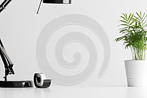 Workspace accesories and a palm in a pot on a white table. Flat lay with blank copy space
