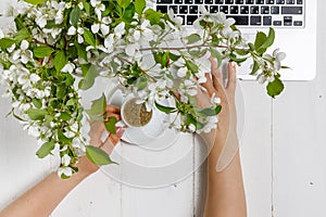 Workspace with girl`s hand on laptop keyboard and cup of coffee, white spring apple tree flowers on white woodden background. Vie