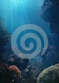 World Beneath the Ocean Floor photo
