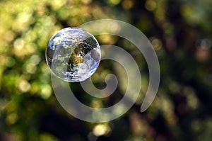 World in a bubble