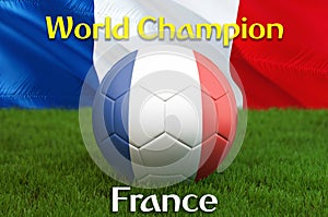 World Champion on French football team ball on big stadium background. France Team competition concept. France flag on ball team t