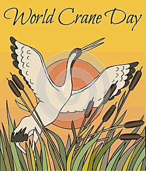 World Crane Day greeting card  with bird at sunset in the reeds