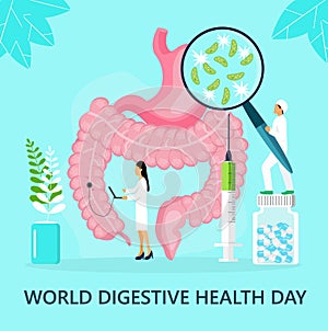 World digestive day is celebrated in 29 May. Intestine probiotic bacteria, lactobacillus info-graphic illustration