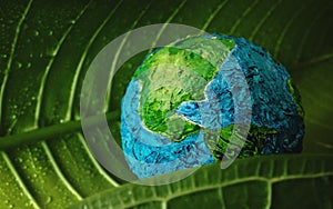 World Earth Day Concept. Green Moisture Leaf with Droplet Water Embracing a Handmade Globe. Environment Care