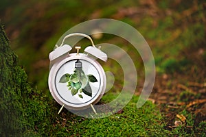 World earth hour, alarm clock stands in the forest, turn off lights, save energy, protect nature and planet earth, environment