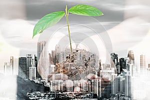 World Eco Friendly for Save The Green Earth Concept, Double Exposure Images of Woman Hands is Holding Tree Seeding With Cityscape