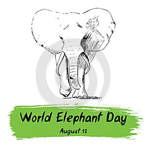 World Elephant Day, international holiday, August 12. Poster with hand drawn sketchy elephant. Isolated. Vector illustration