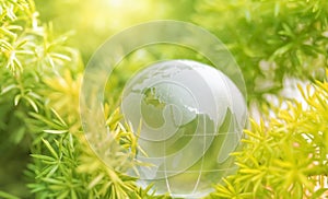 World environment concept, Ecology earth environmental, Transparent crystal globe and green nature forest background, Help world
