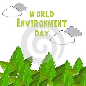 World Environment Day.