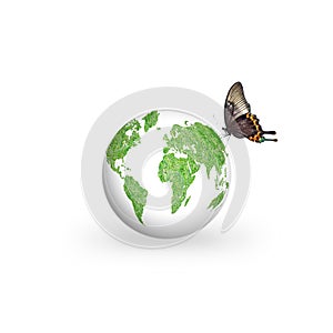 World environment day concept with earth globe isolated on white background with healthy green grass texture and butterfly