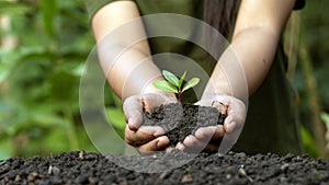 World environment day concept with girl holding small trees in both hands to plant.