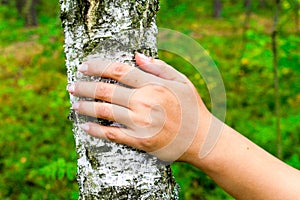 World Environment Day. The girl hands hugging a tree trunk. To hold the birch. The concept of unity with nature. Draw strength fro