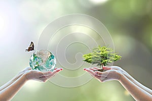 World environment day and go green with csr concept with tree planting on volunteers` hand. Element of the image furnished by NASA