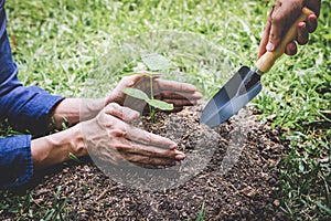 World environment day reforesting, Hands of young man helping were planting the seedlings and tree growing into soil while working