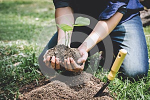World environment day reforesting, Hands of young man were planting the seedlings and tree growing into soil while working in the