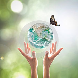 World environment day, sustainable ecology and environmental friendly concept with green earth planet on volunteer`s woman hands