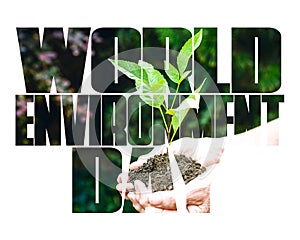 World Environment Day text, old and young hands, green sprout, white background.