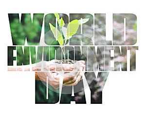 World Environment Day text, old and young hands, green sprout, white background.