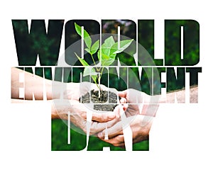 World Environment Day text, old and young hands, green sprout, white background.