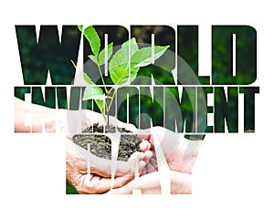 World Environment Day text, old and young hands, green sprout, white background.